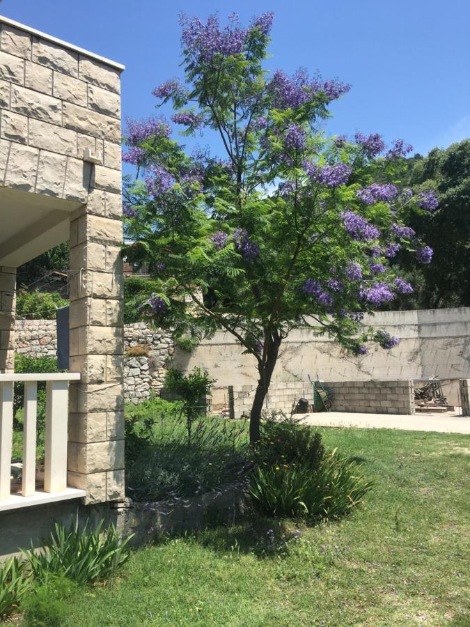 Žuljana Apartmani Domenika מראה חיצוני תמונה